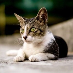 Meet your Posher, Odette